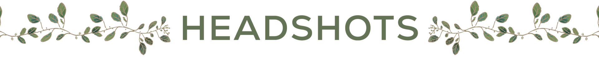Decorative divider with leafy vines on both sides and the word “Headshot” in green centered between them.