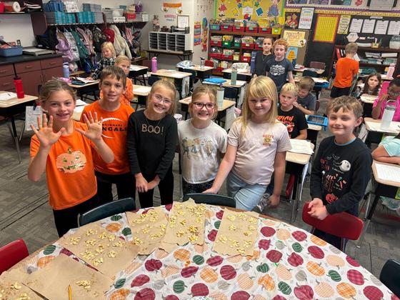 Pumpkin Seed Counting