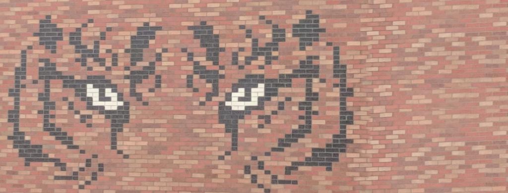 Brick Eye of the Tiger New Building Front