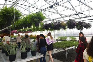 Students in the greenhouse
