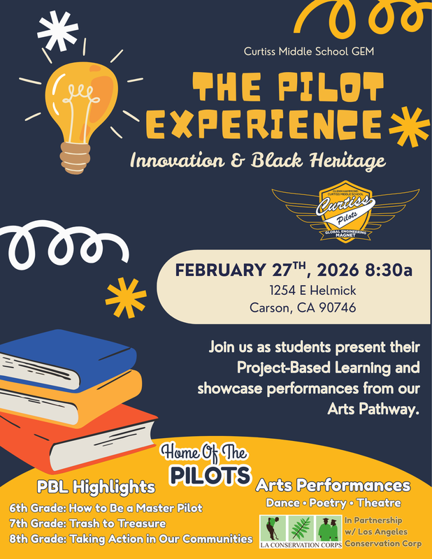 The Pilot Experience