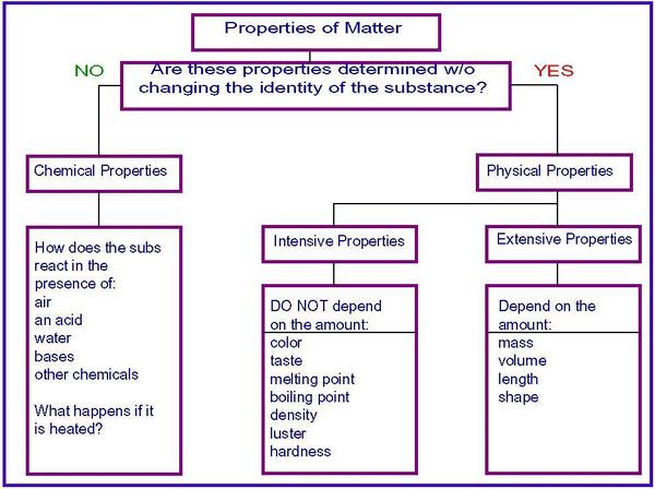 02 ipc property3.jpg