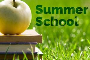 Summer School