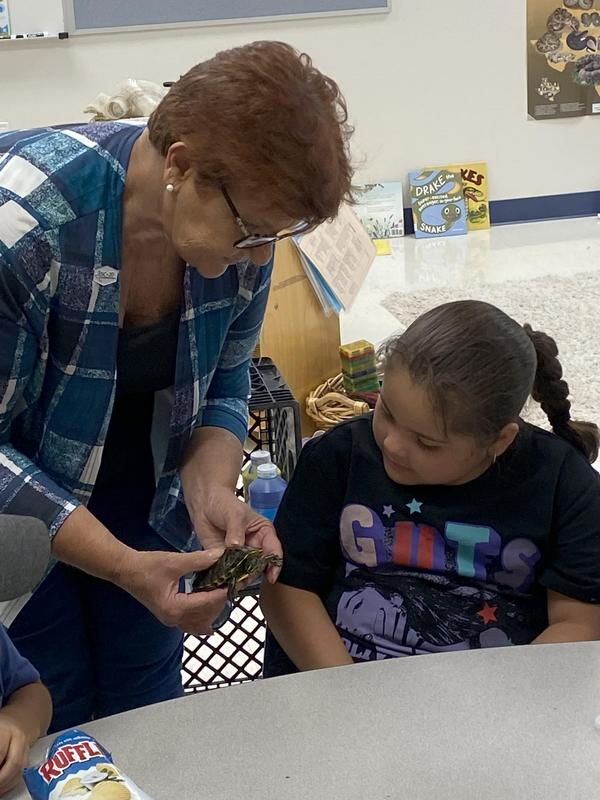 Turtle Tuesday @ Learning Alive