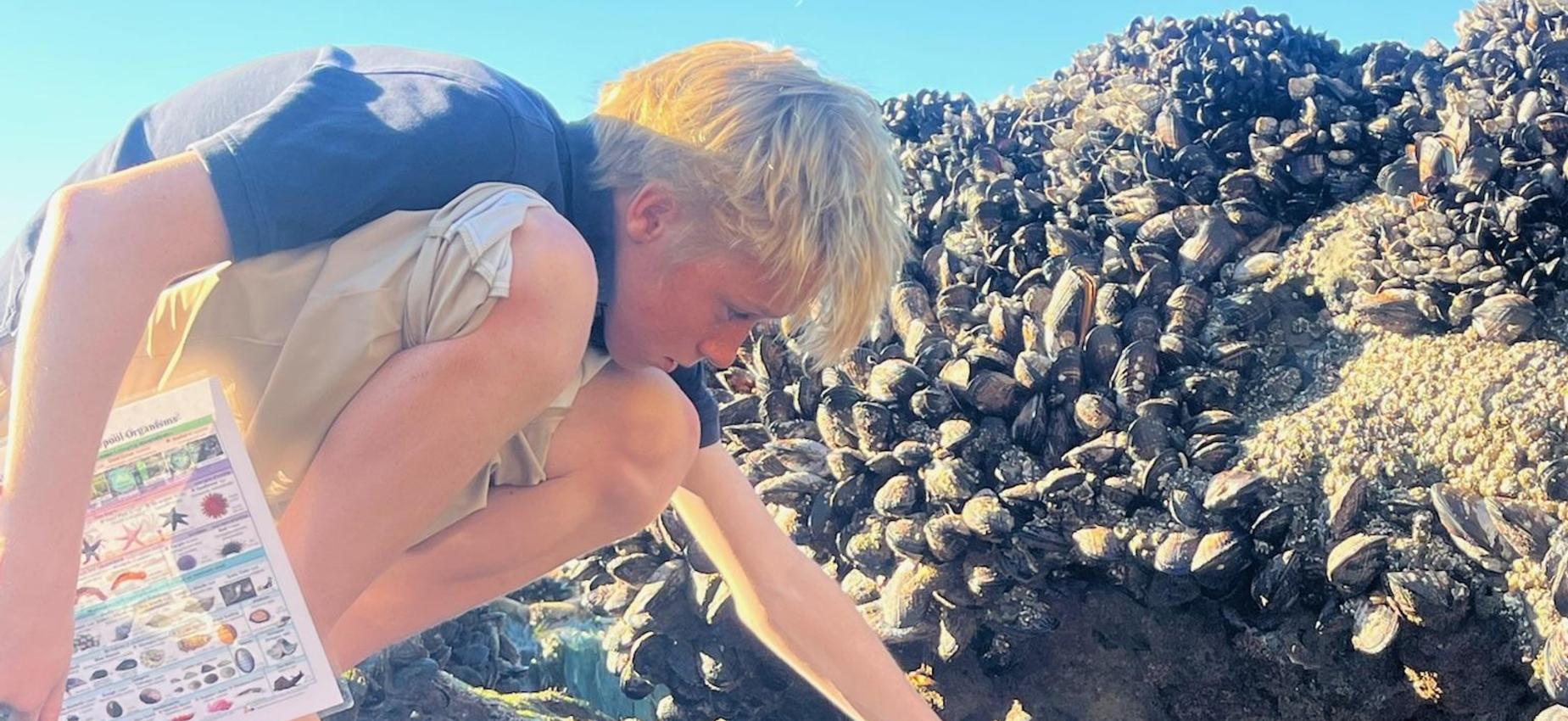 student examine tide pool
