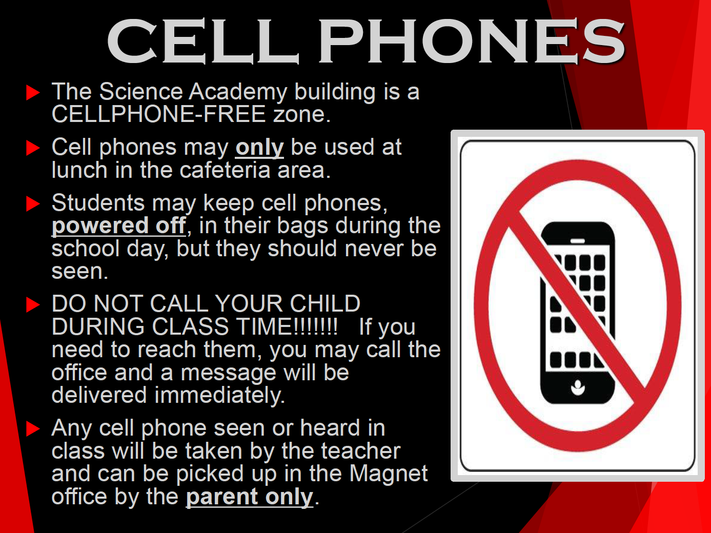 Students Community The Science Academy STEM