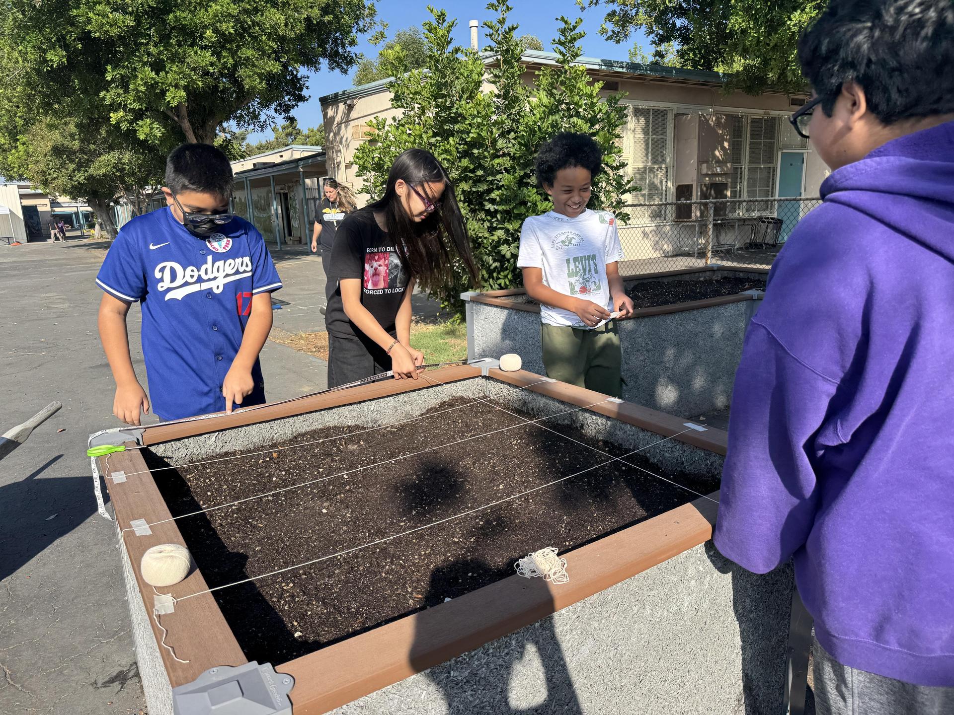 Lorne's Monarch Butterfly Sanctuary Garden