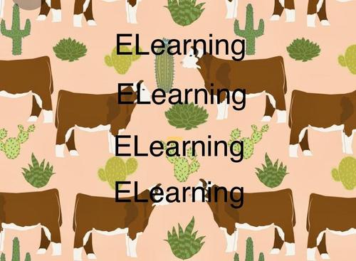 E- Learning is so exciting for HJH