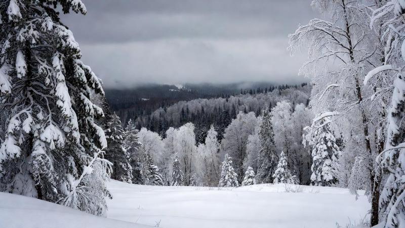 Snowy background for news alert popup