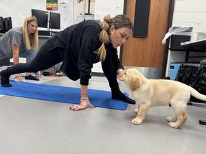 puppy licking a woman doing yoga