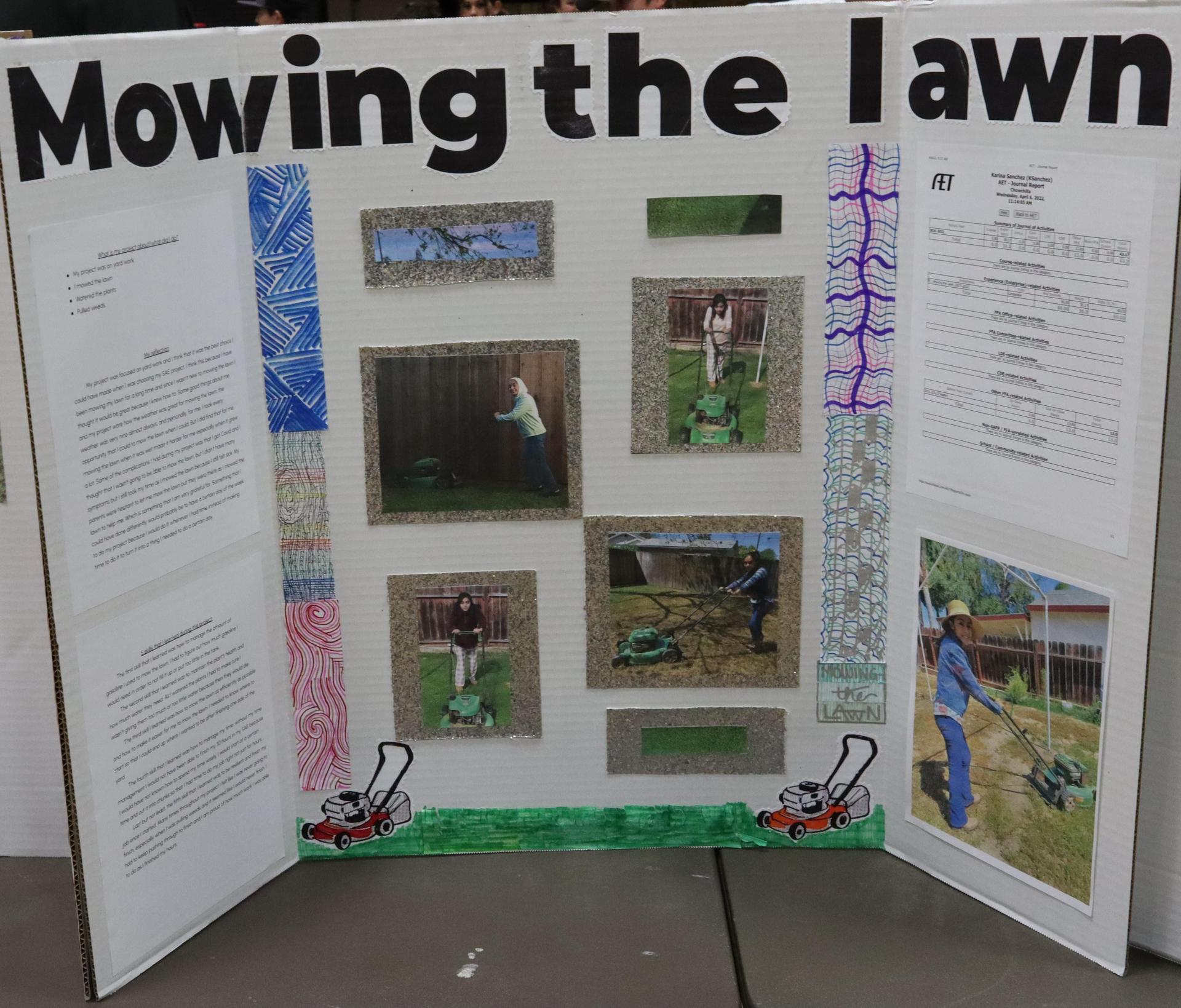 A Supervised Agricultural Experience trifold display