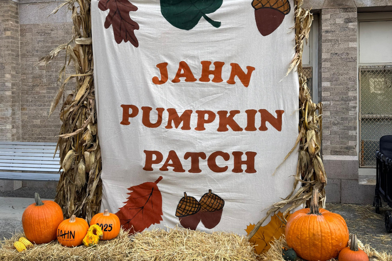 Pumpkin Patch photo backdrop