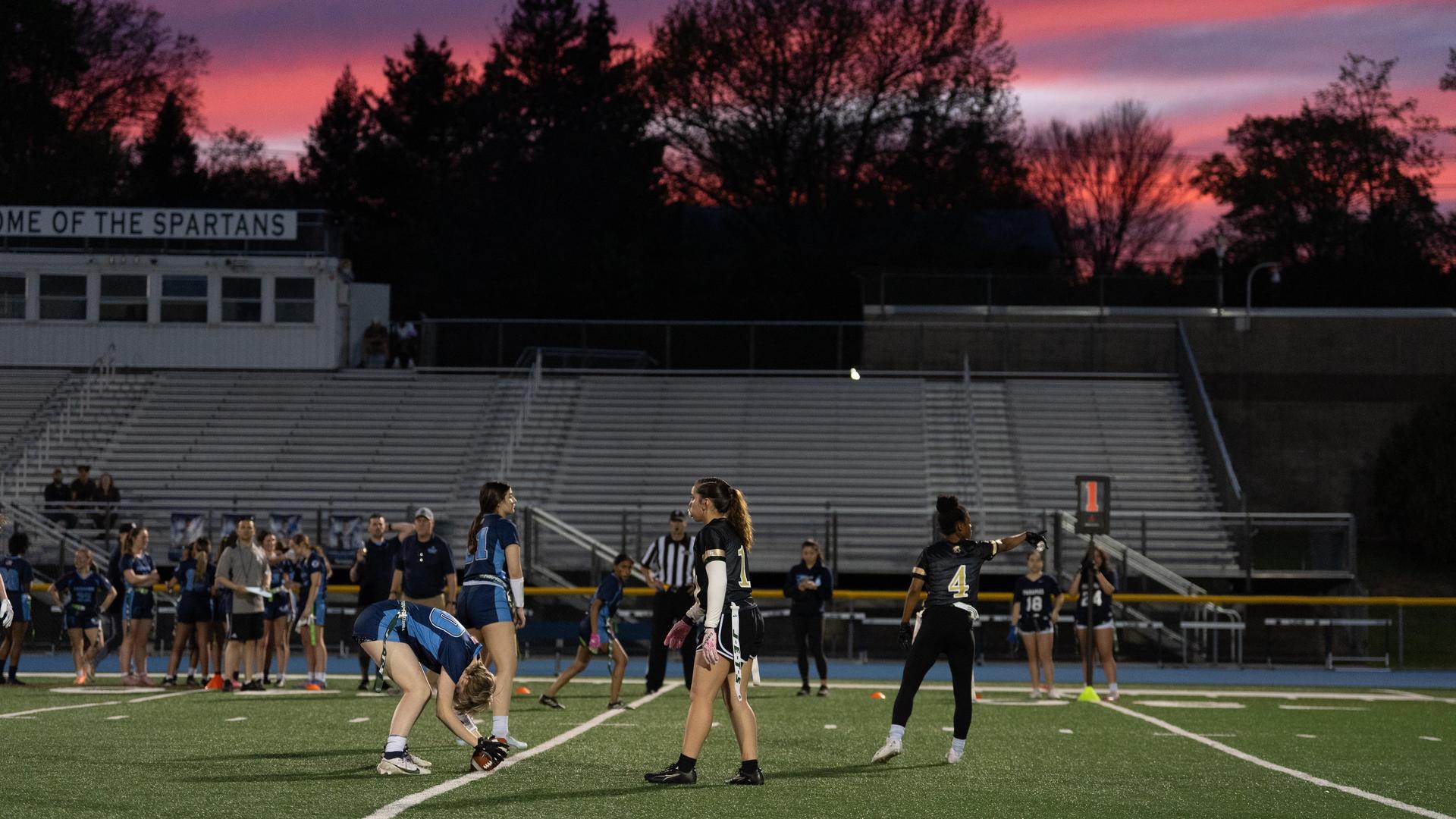 Homepage Shuffle Gallery 7