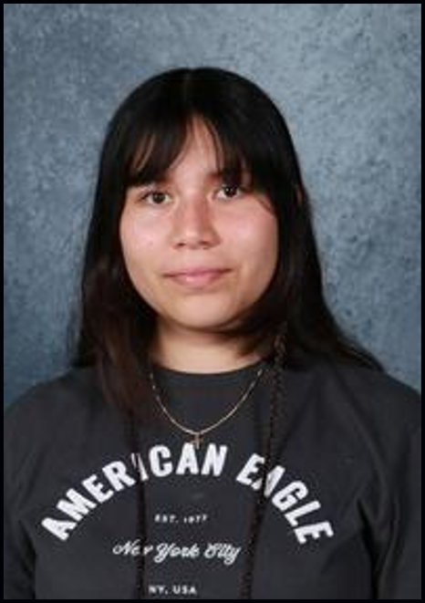 skills usa treasurer 