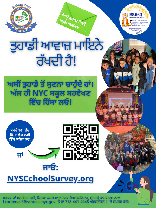 NYC Survey Flyer (Punjabi)
