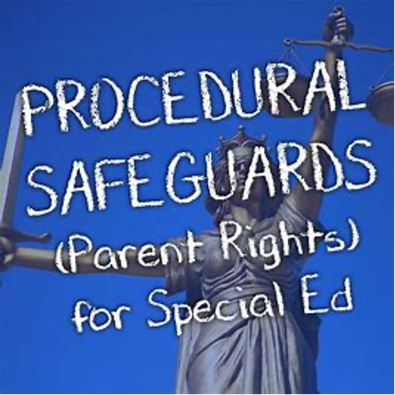 procedural safeguards