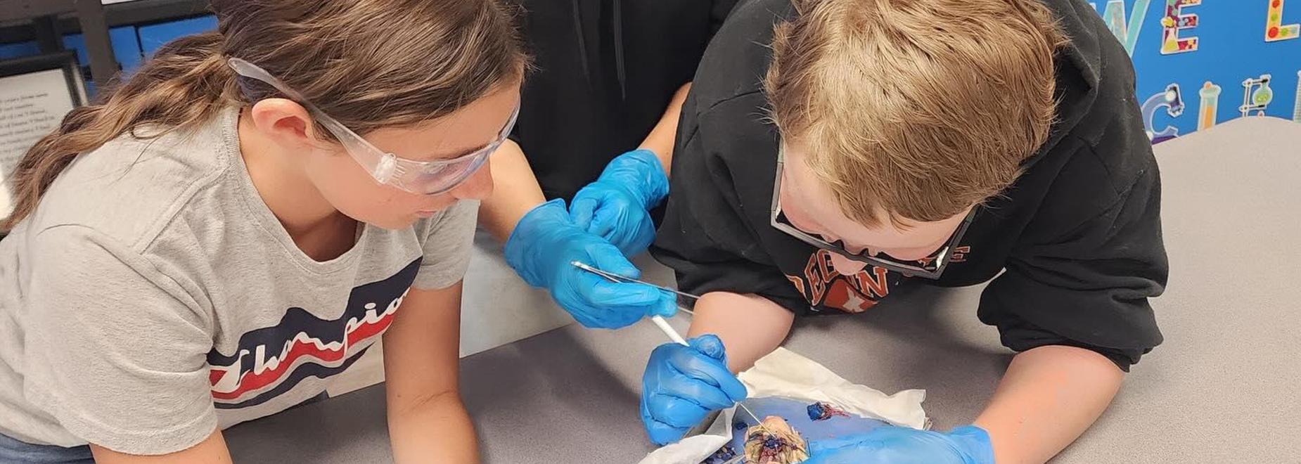 Two students dissecting an animal specimen, wearing gloves and goggles in a classroom setting.