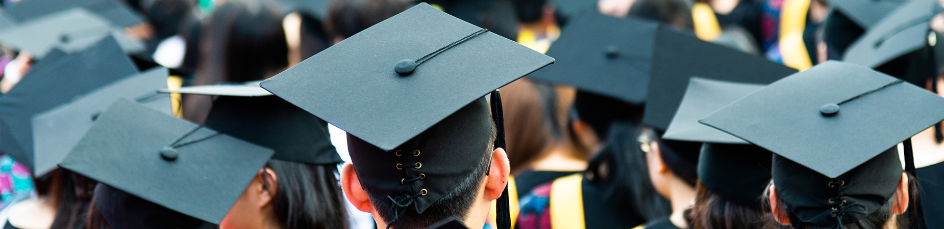 The backs of the heads of graduates. They are wearing graduation caps.