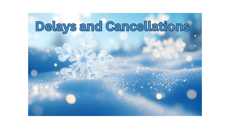 Delays and Cancellations