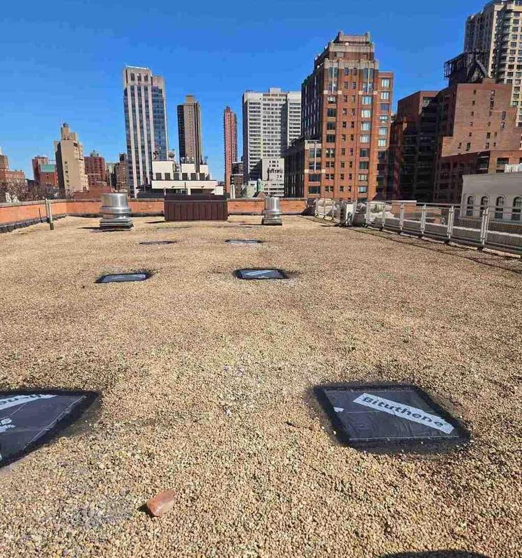 rooftop of PS 290