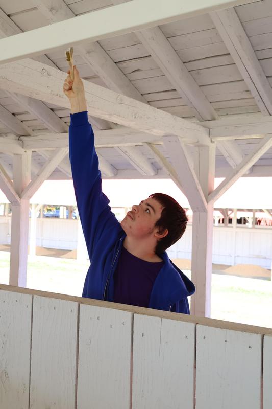 FFA student paints a white beam in a livestock barn