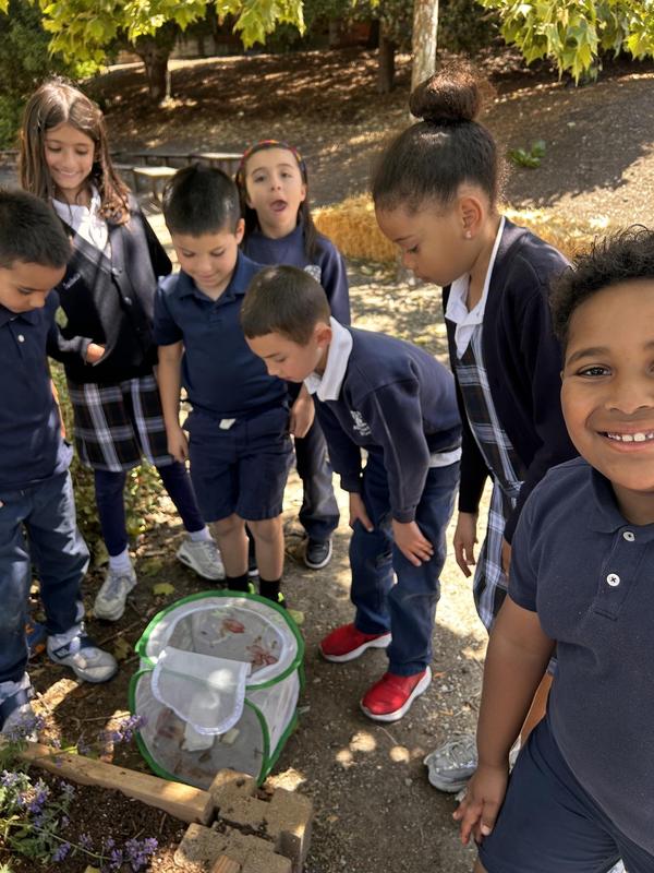 Students Raise and Release Butterflies in Campus Living Lab