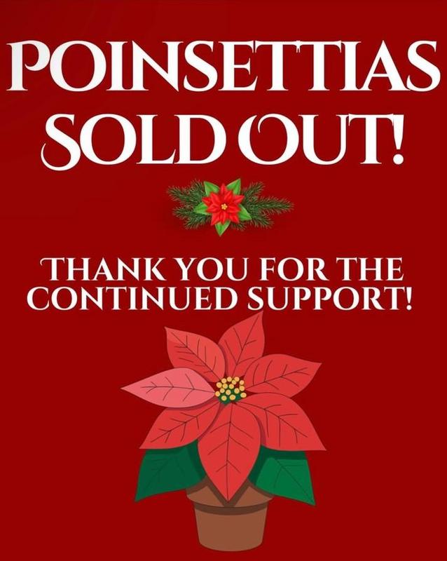 2025 sold out poinsettias