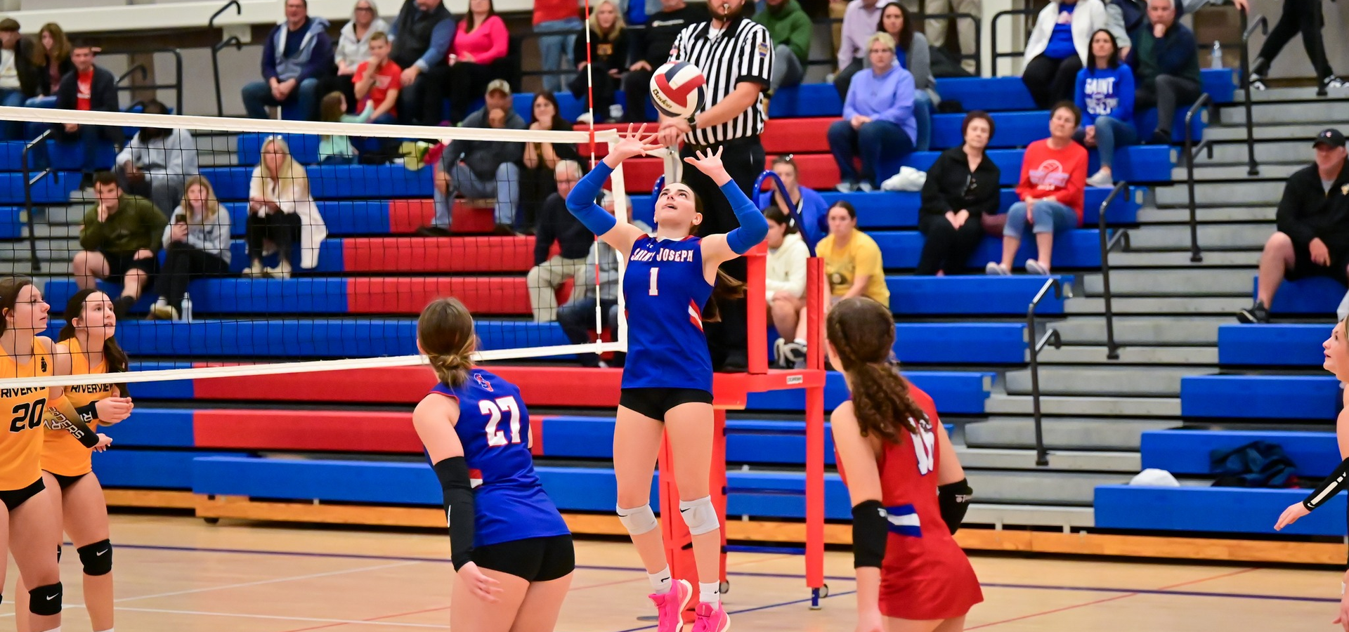 volleyball