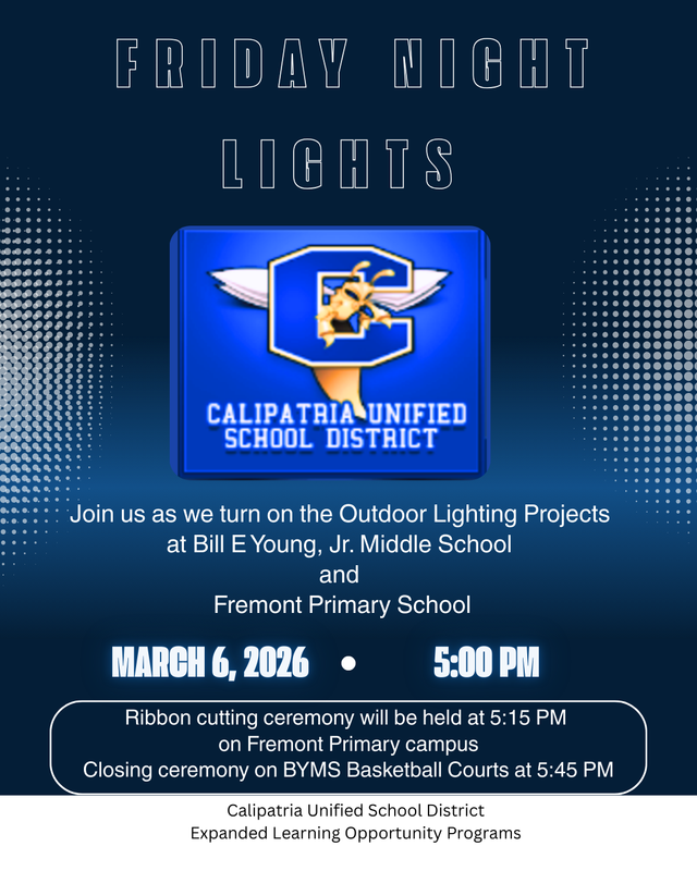 March 6, 2026 Grand opening of Lighting Projects