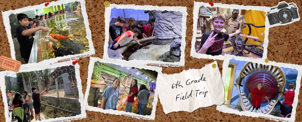 Students interacting with animals at a field trip collage.