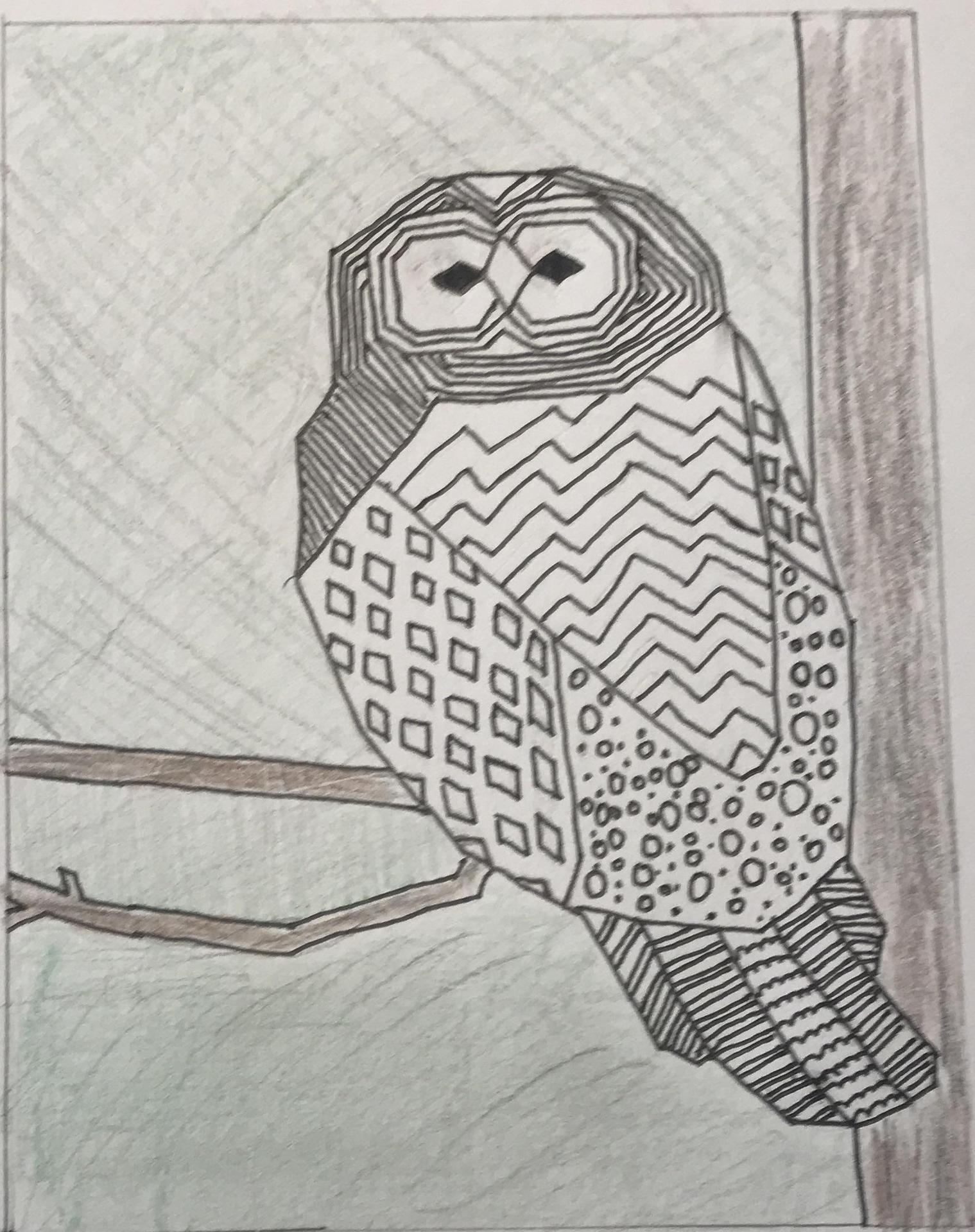 owl