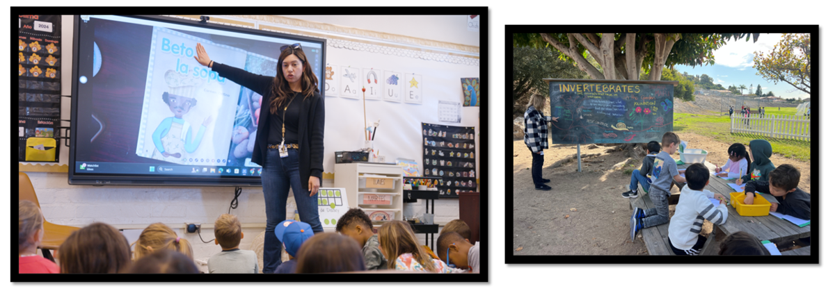 Dual Immersion_Garden