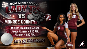 Volleyball Game Away