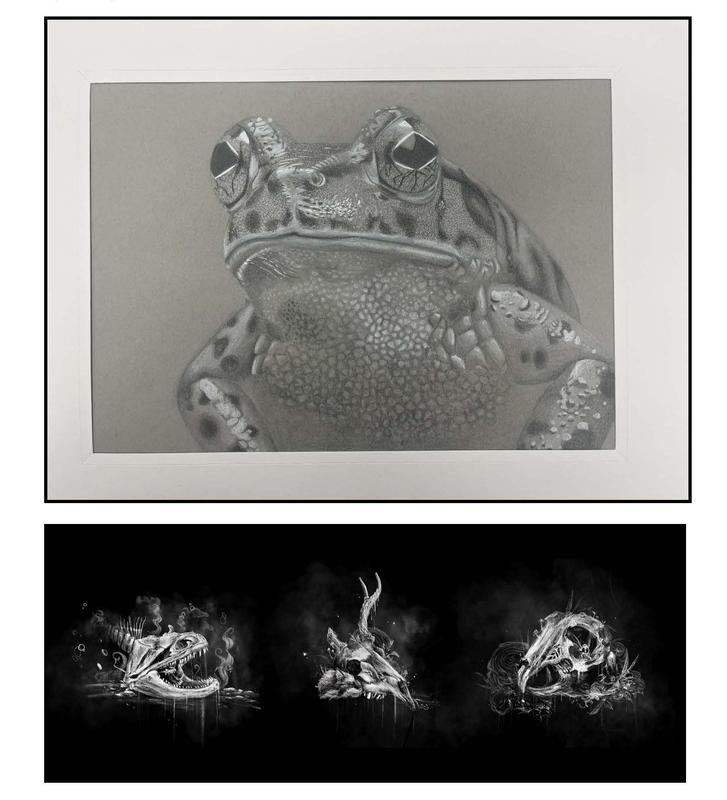 Art work for California SISC 2026 Symposium  Art Exhibit!