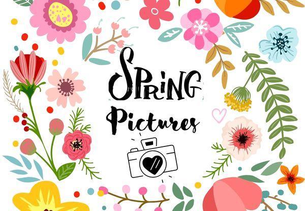 Spring Pictures will be taken March 17th.