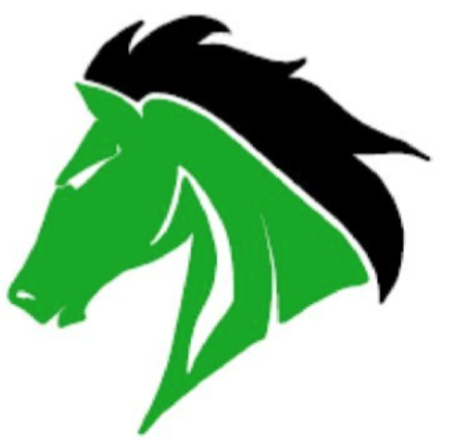 WSHS Colt Logo