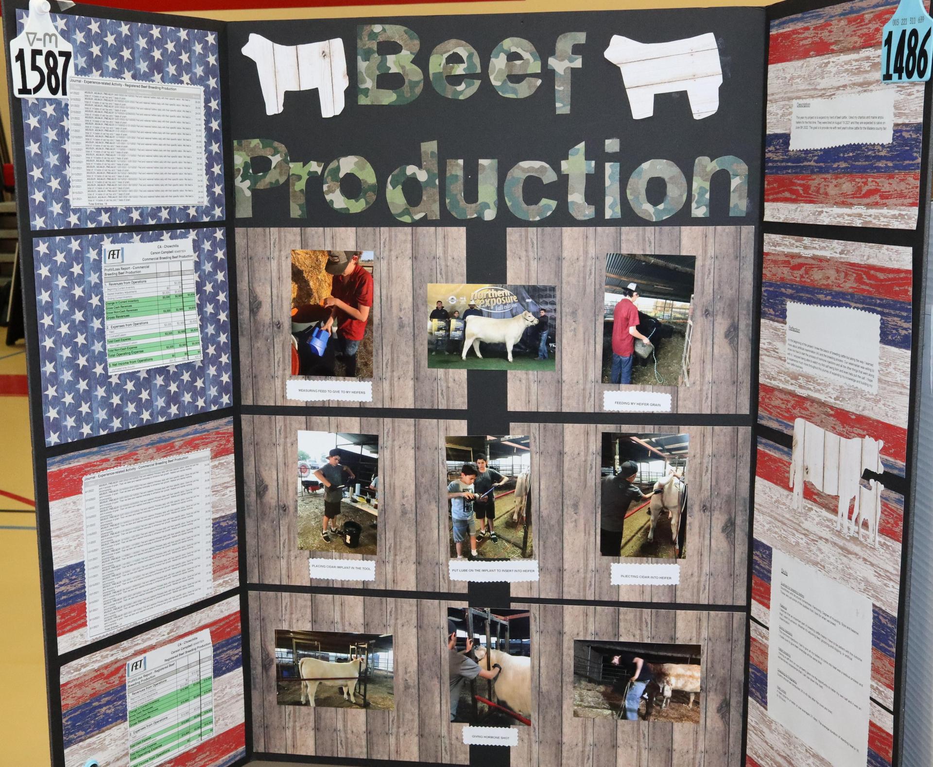 A Supervised Agricultural Experience trifold display