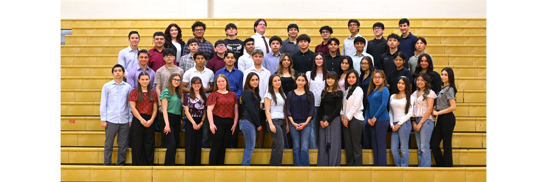 AP Scholars