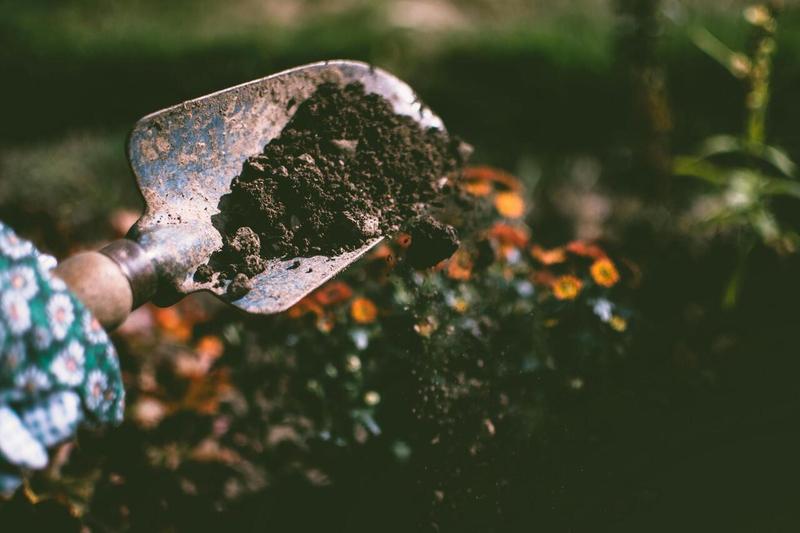 A hand in a gardening glove holds a trowel containing dark dirt.