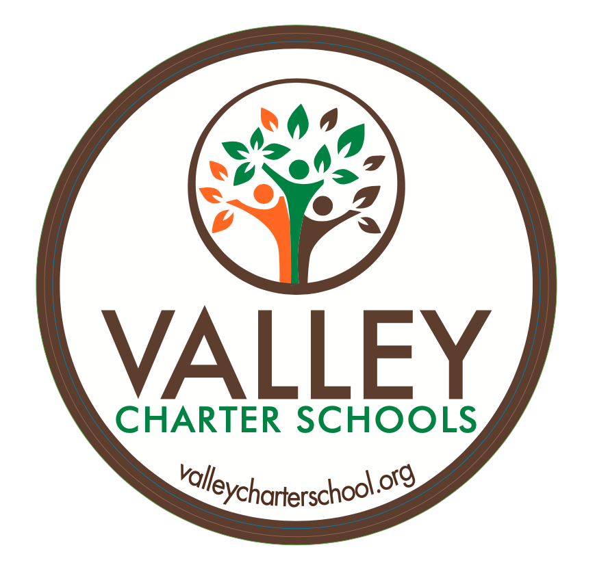 VCES car magnet
