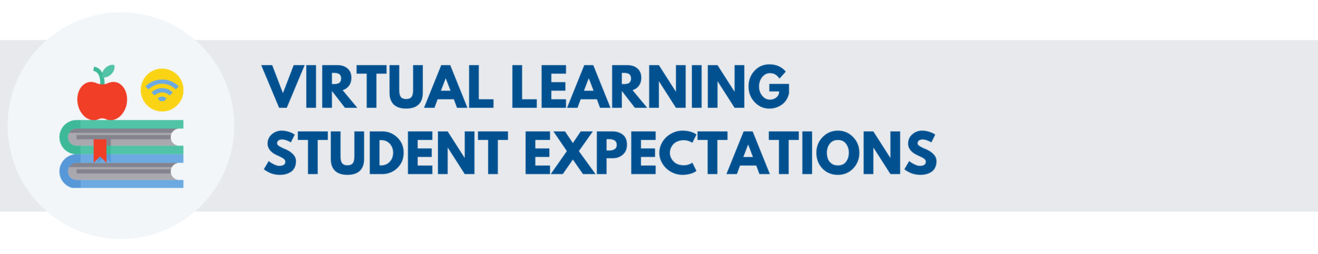 Virtual Learning Student Expectations
