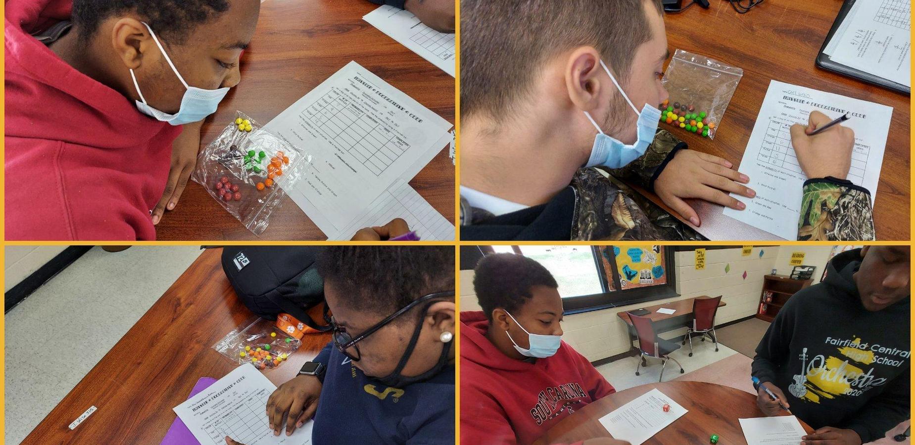 Hands on Learning with FCHS Students