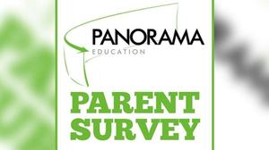 Panorama Survey art
