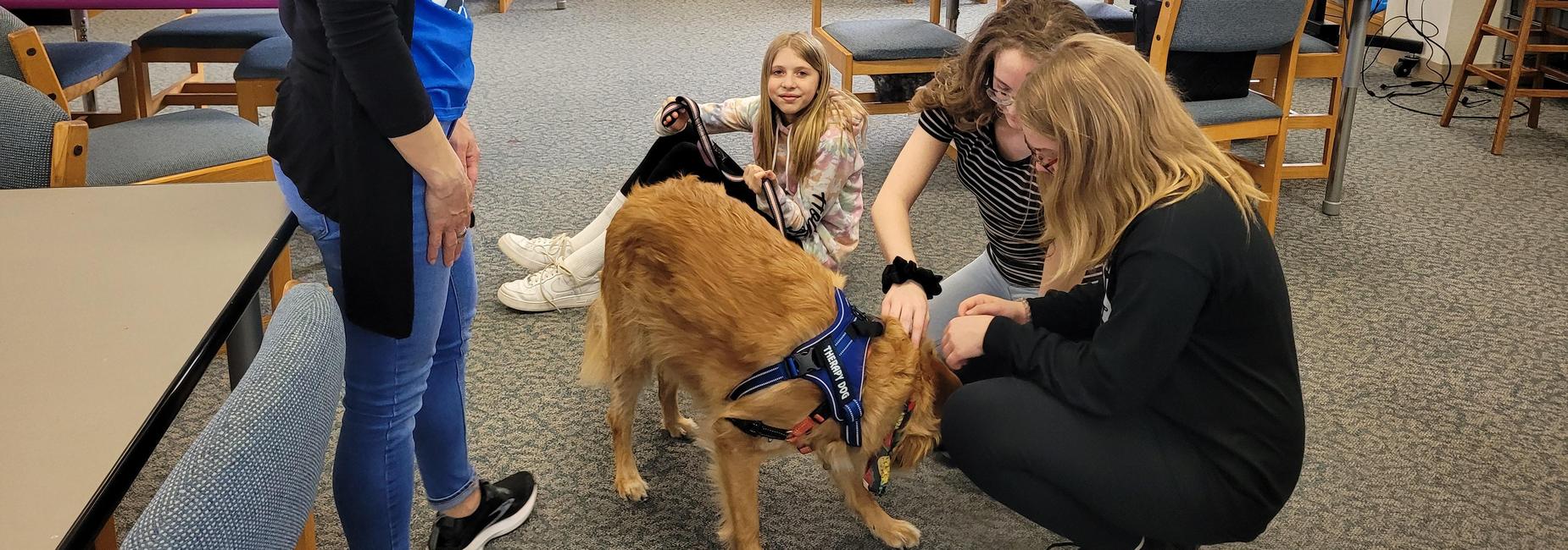 3rd Quarter Mystery Motivator: Therapy Dogs