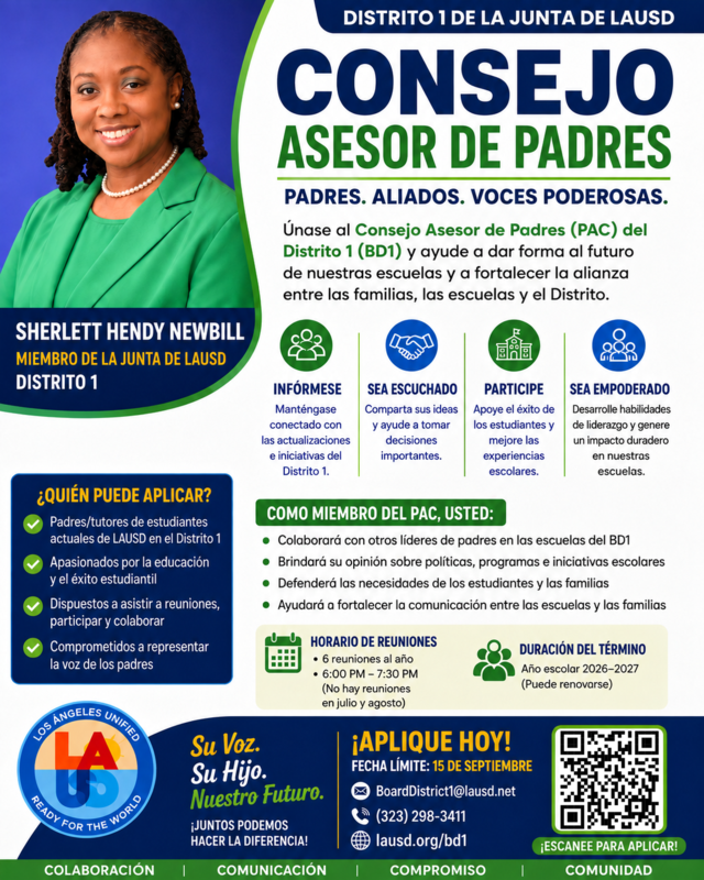 PAC Spanish Flyer