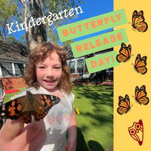 K BUTTERFLY DAY.png