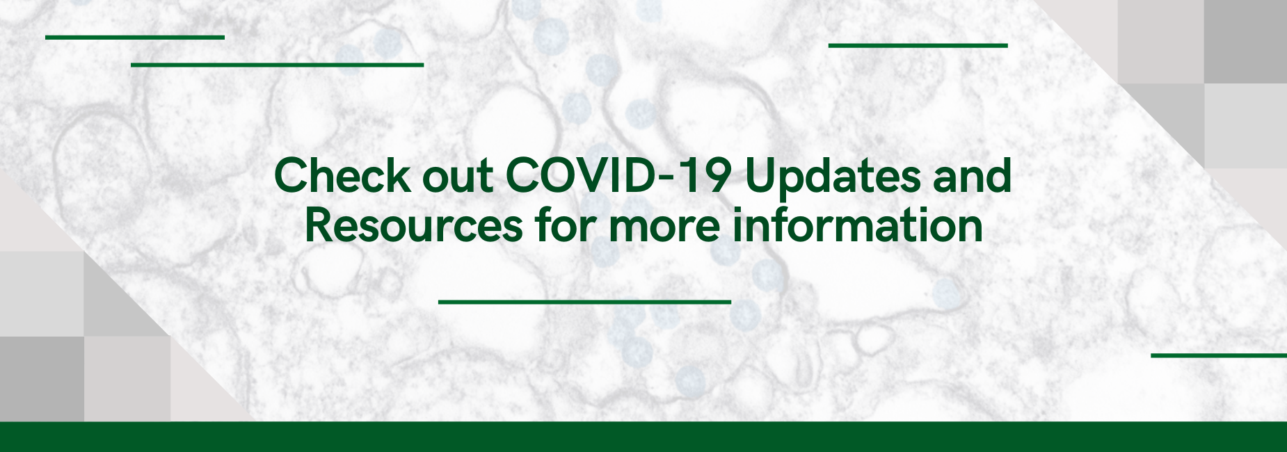 Check out COVID-19 Updates for more info