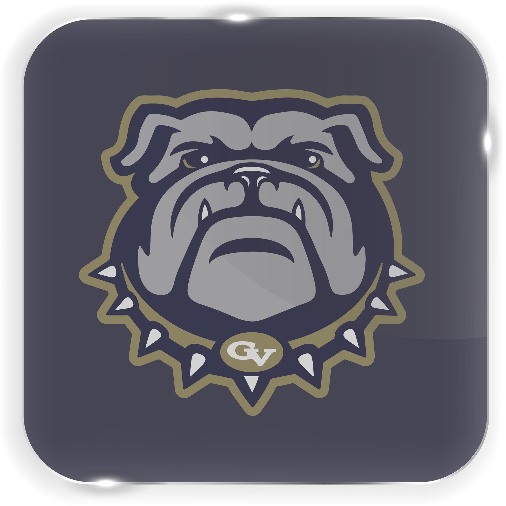 Golden Valley High School