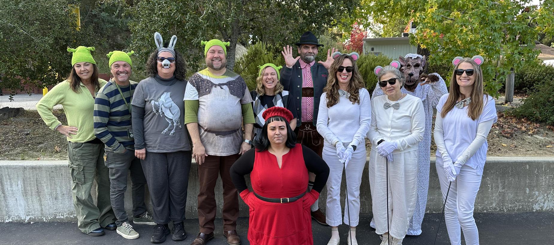 District Office staff in Halloween Costumes