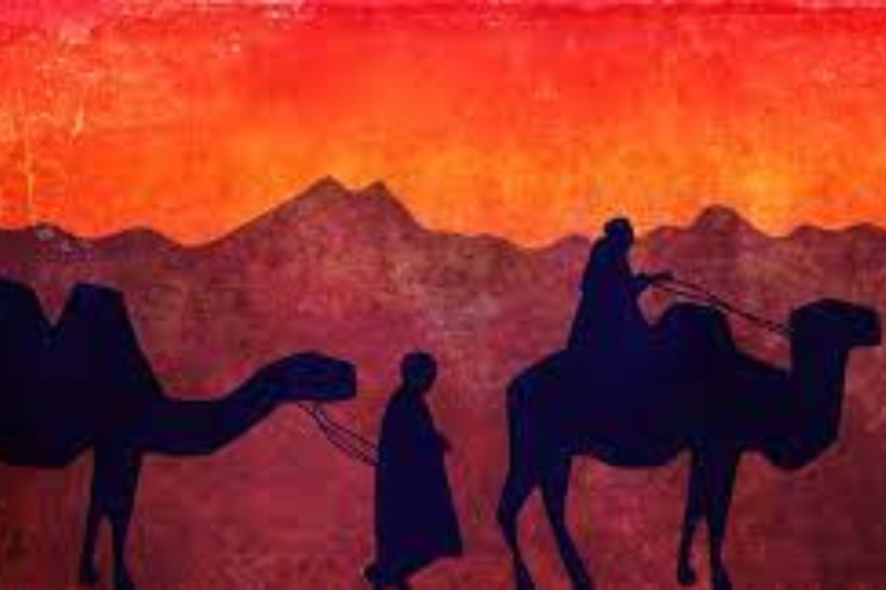 Rabbi Silvestri's Round Up: 11/3/2022